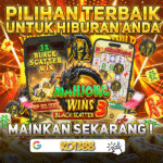 umk2